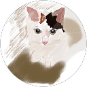 Q “coco” profile picture